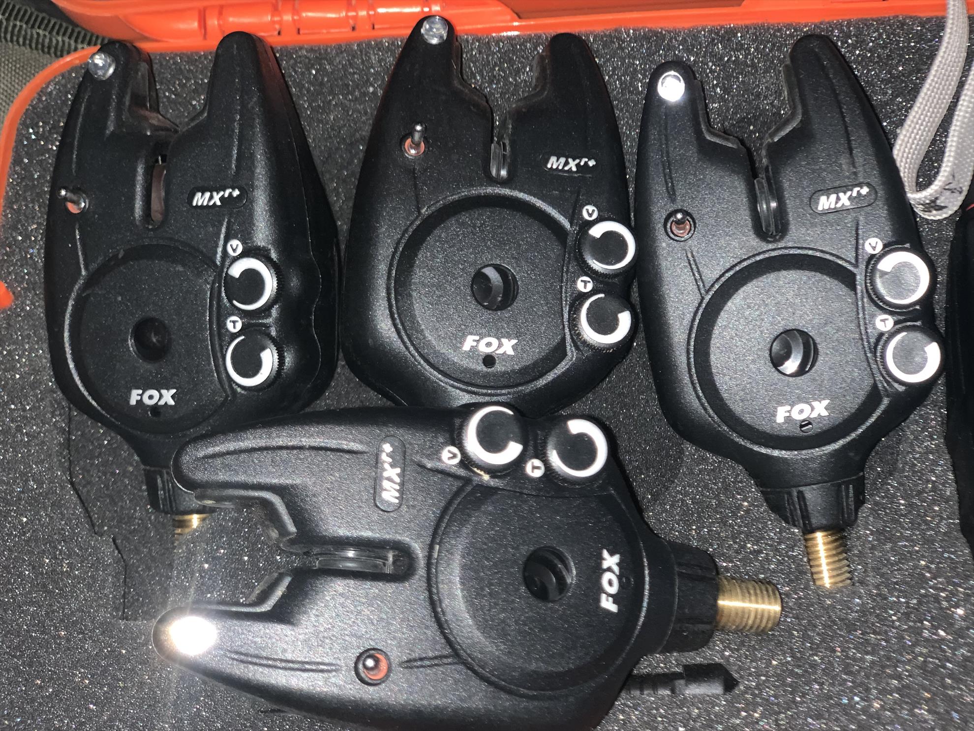  - ea90cc24-07c9-4b40-8812-c5baa2e534d3.jpeg