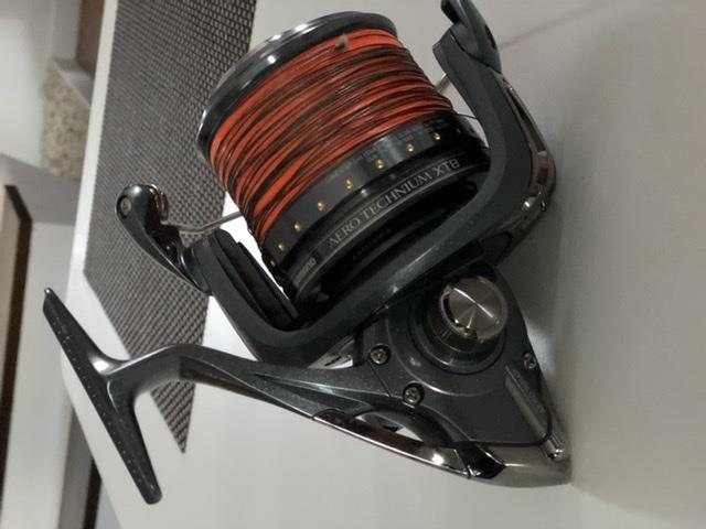  - 528cfdaa-f385-43ce-8ac6-e63475d13fd5.jpeg