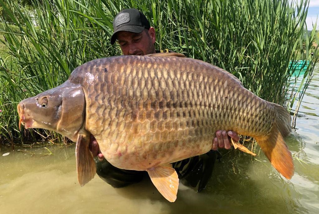 Partida de record mondial - 1175335263536196163059210978413320882842734o.jpg