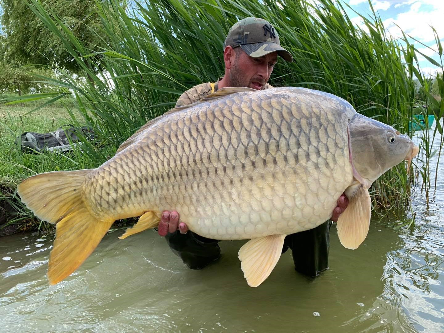 Partida de record mondial - 11758612235361965763925024773041895676526530o.jpg