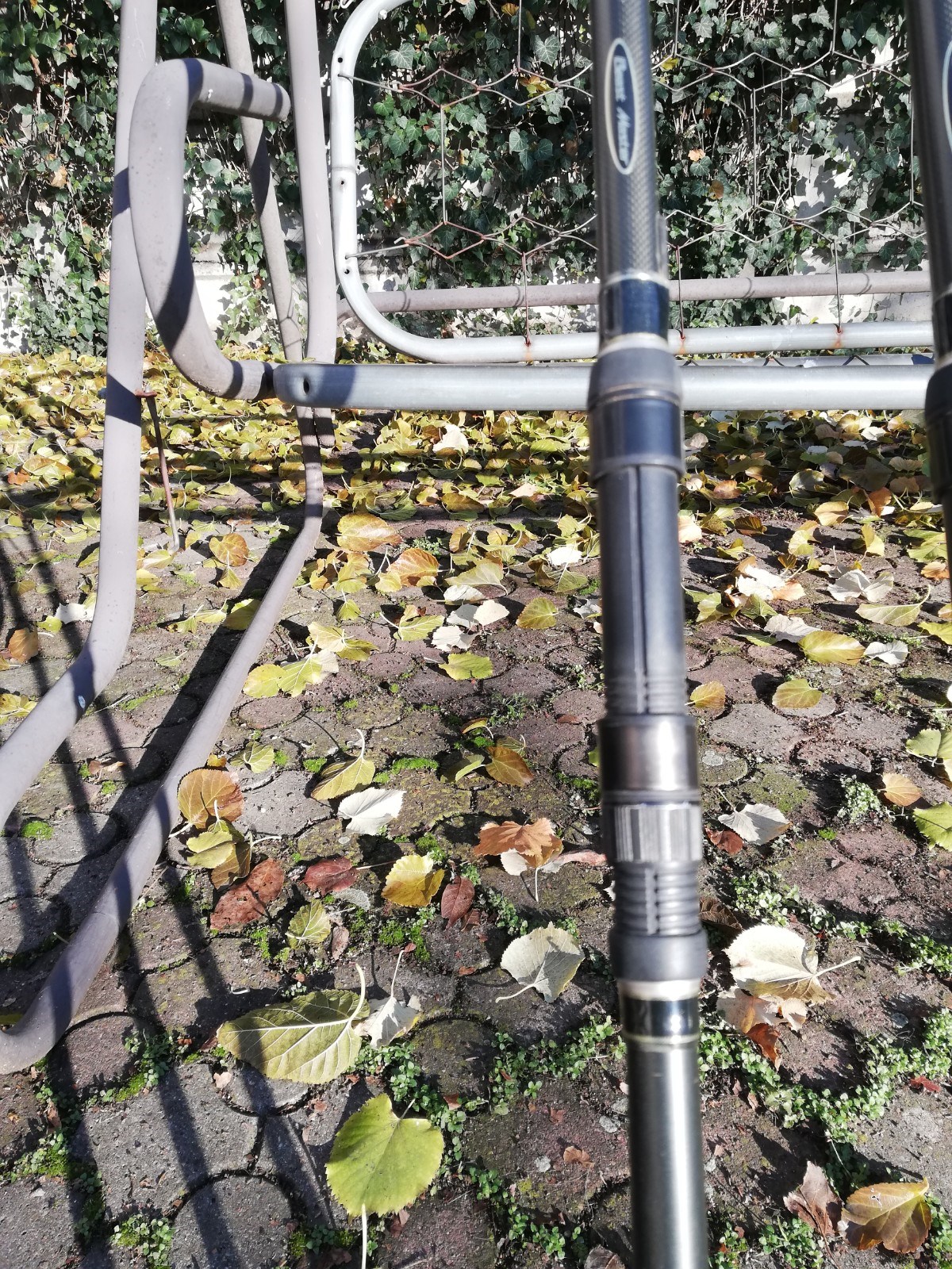  - IMG20201201103831.jpg