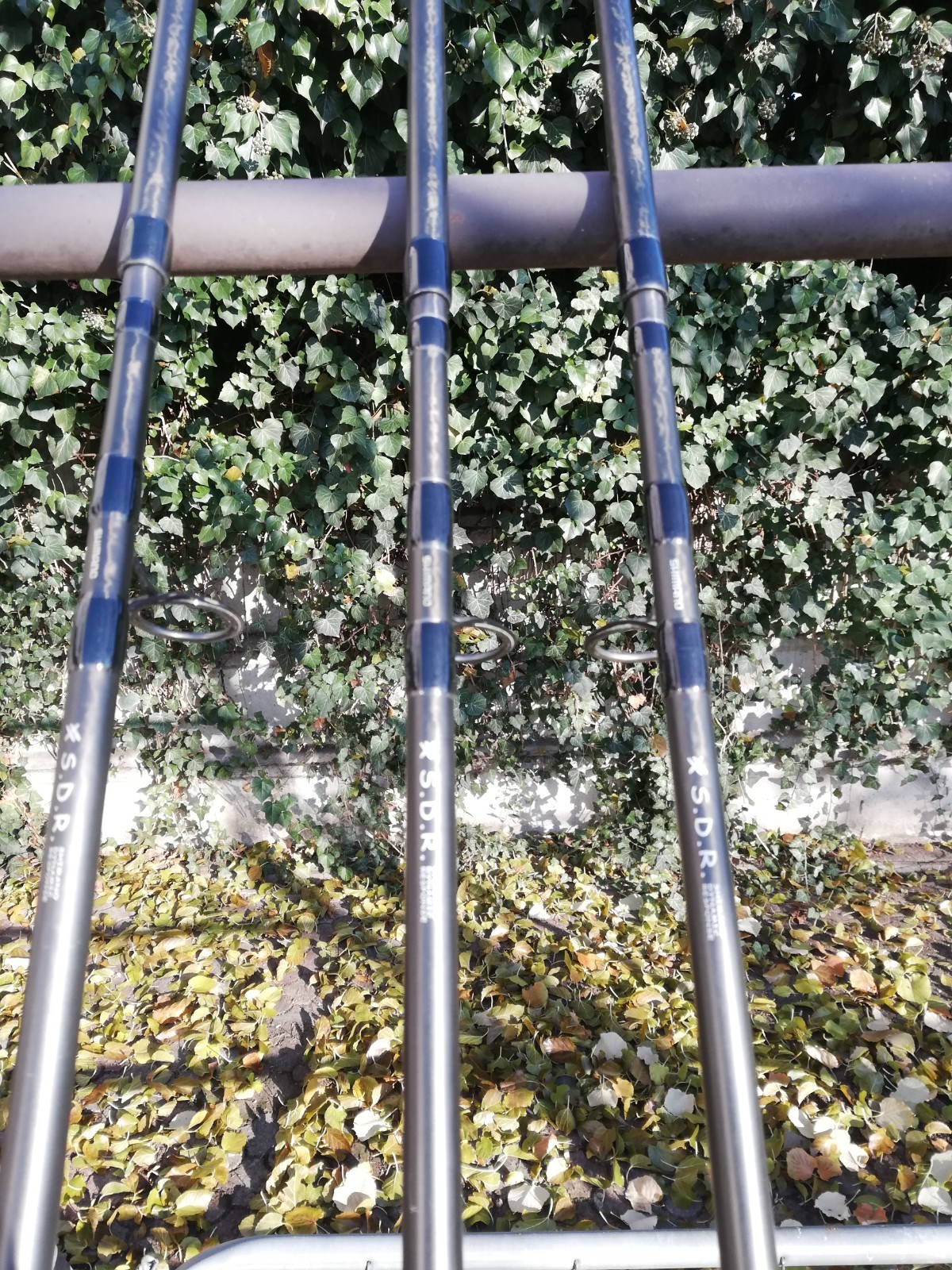  - IMG20201201103839.jpg