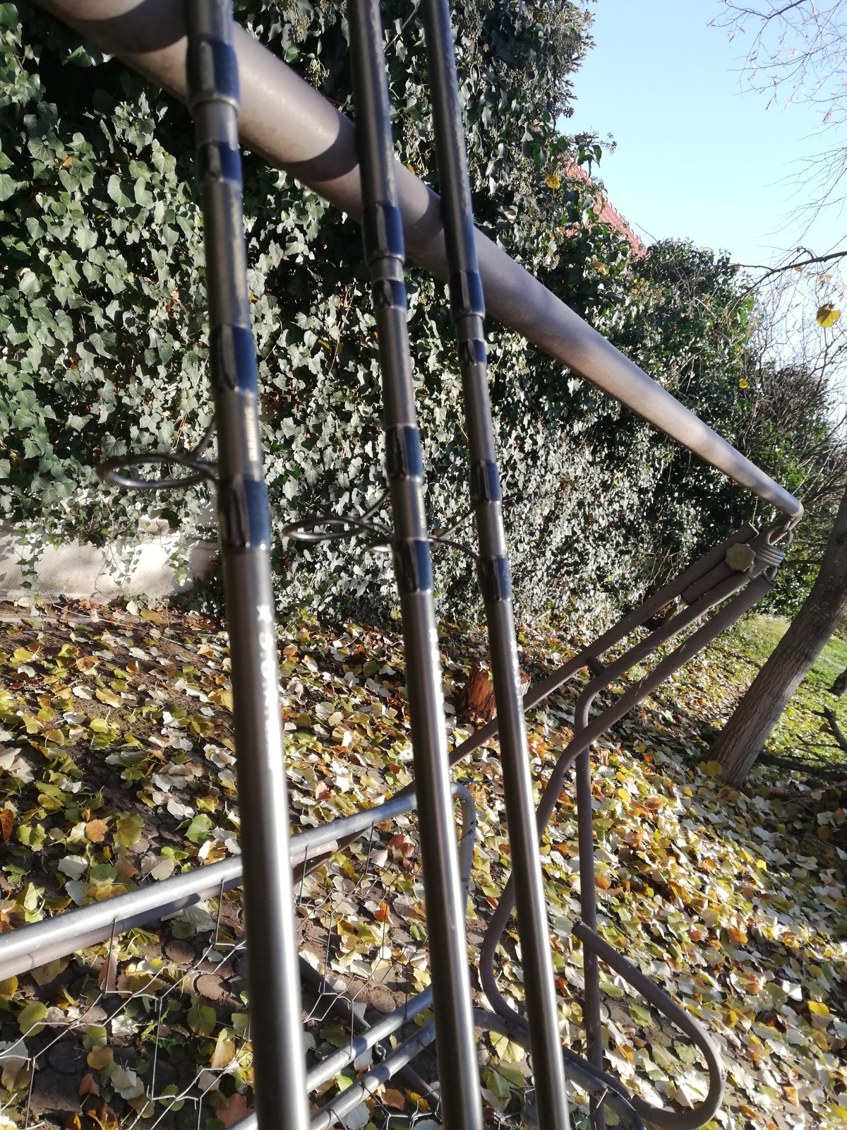  - IMG20201201103850.jpg