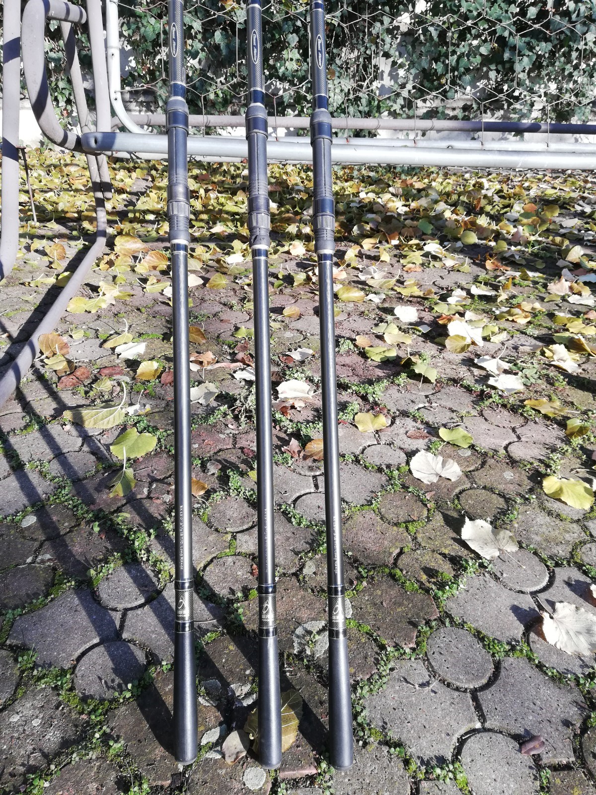  - IMG20201201103817.jpg