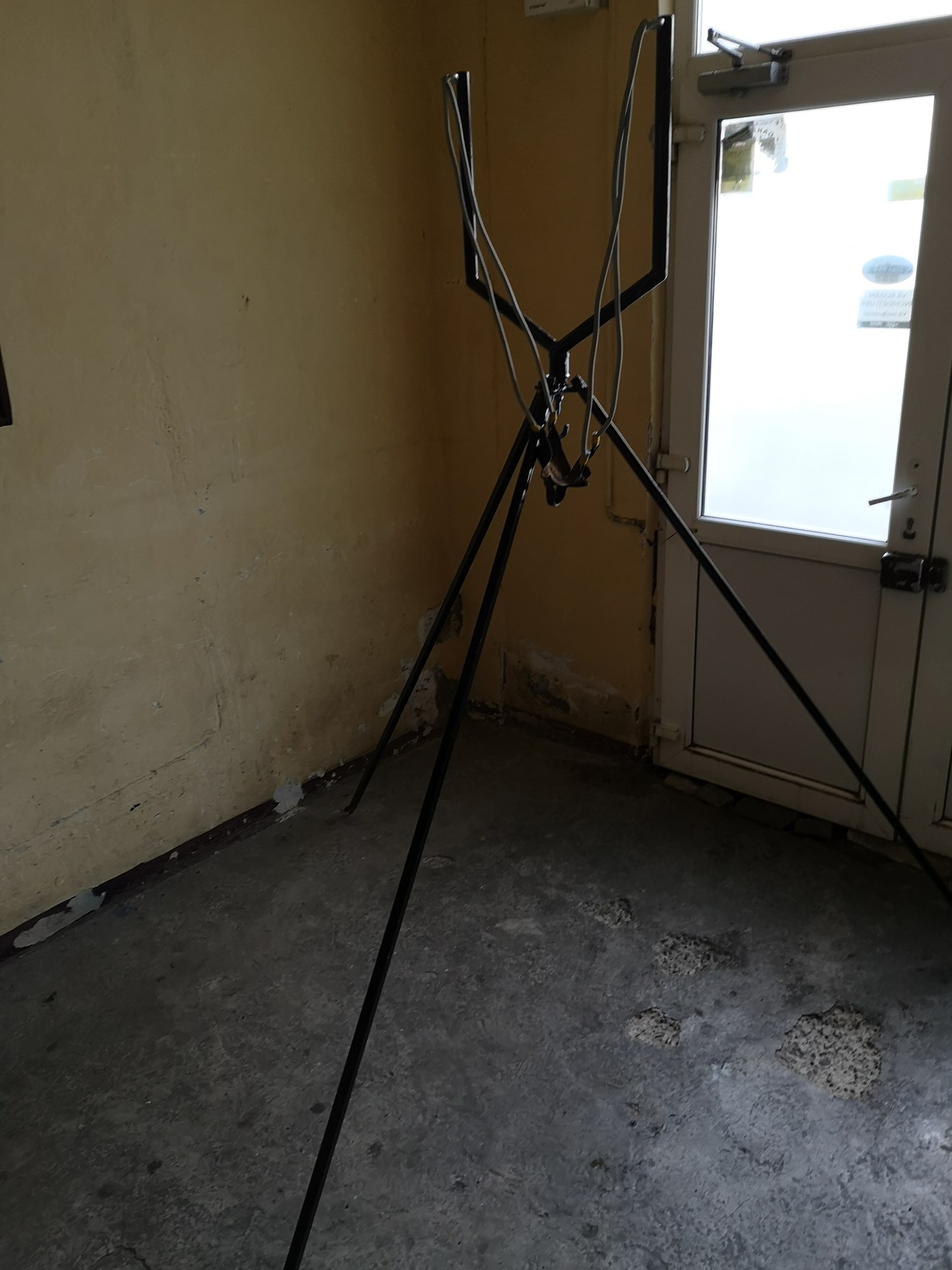  - inbound4881594166197108975.jpg