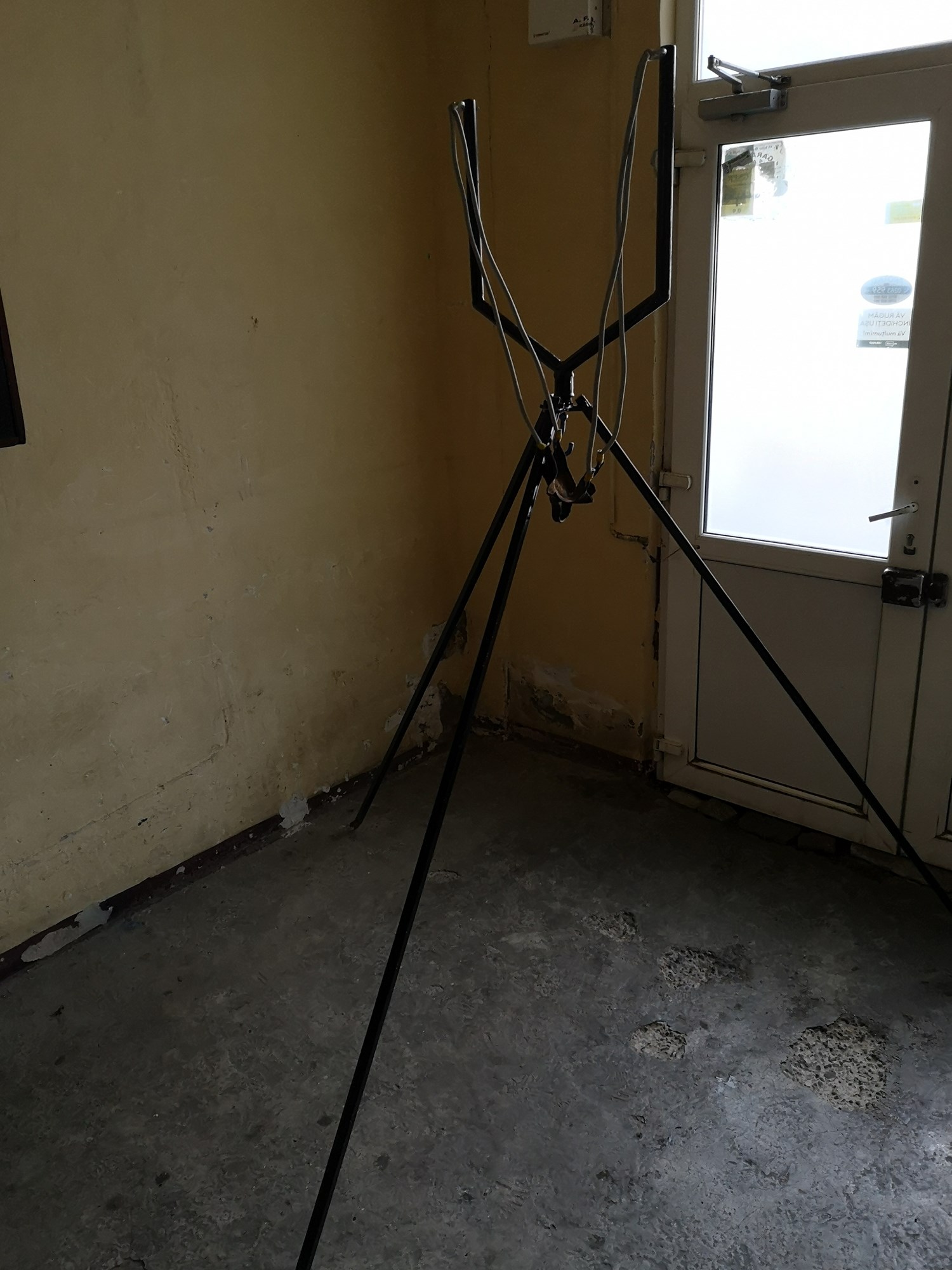  - inbound7198605295430464217.jpg