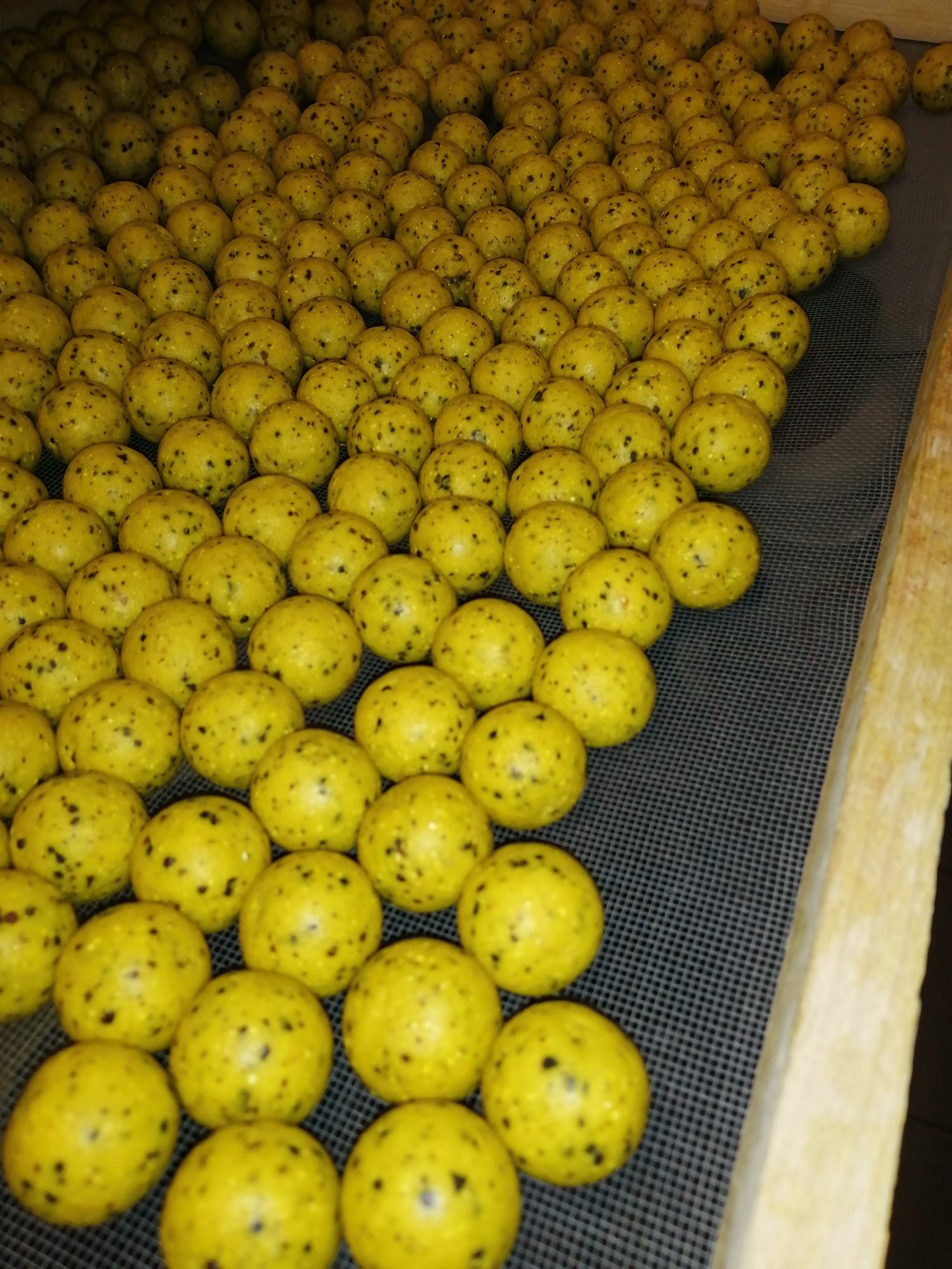  - IMG20210428224449.jpg