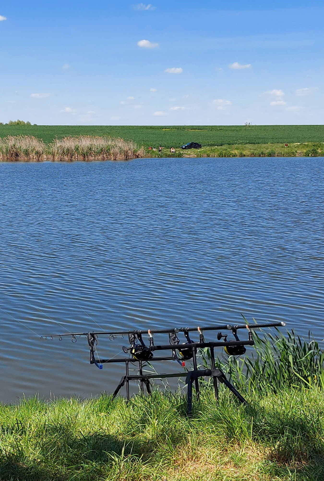  - 20210509145131.jpg