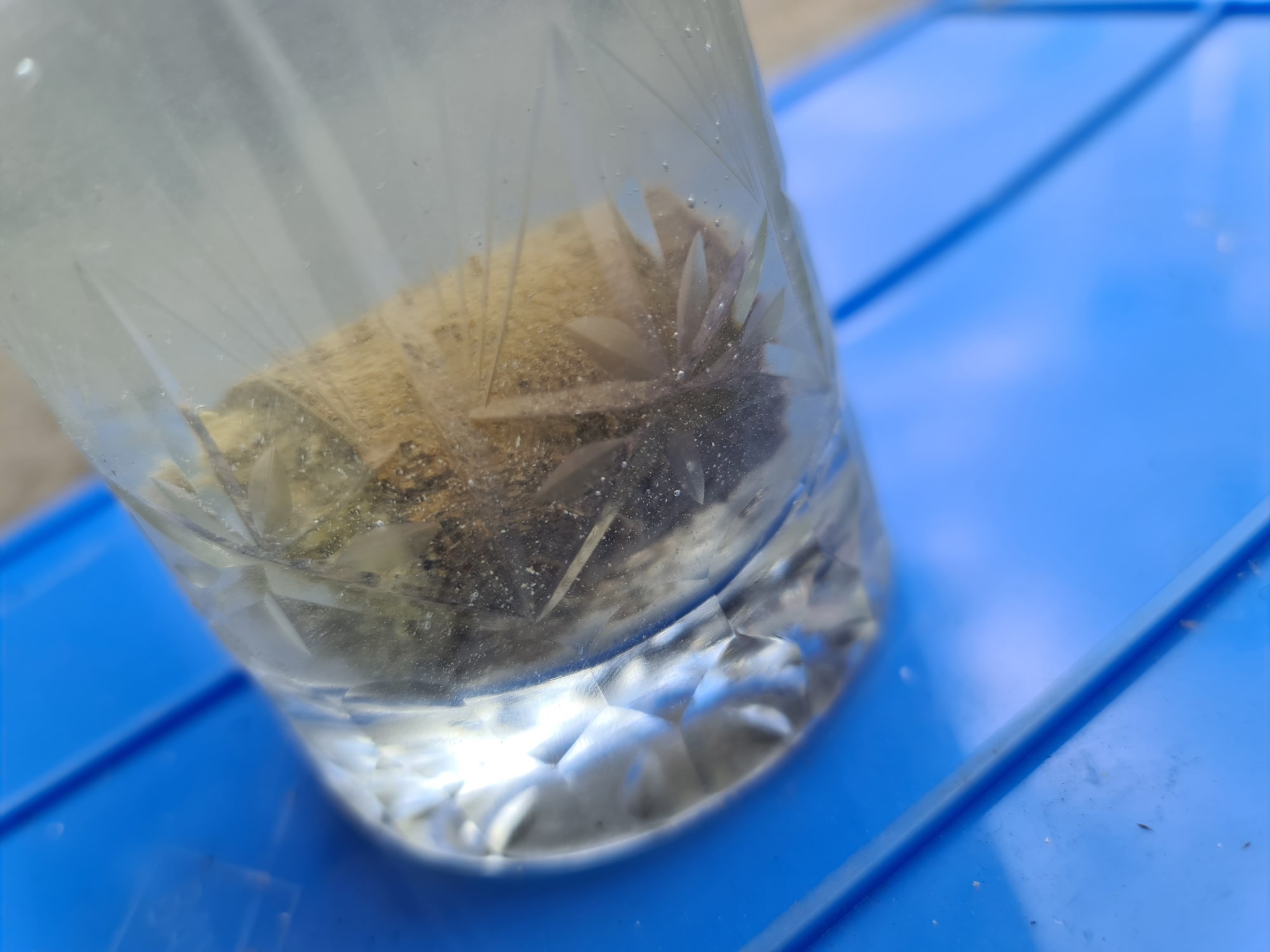  - 20210803192113.jpg