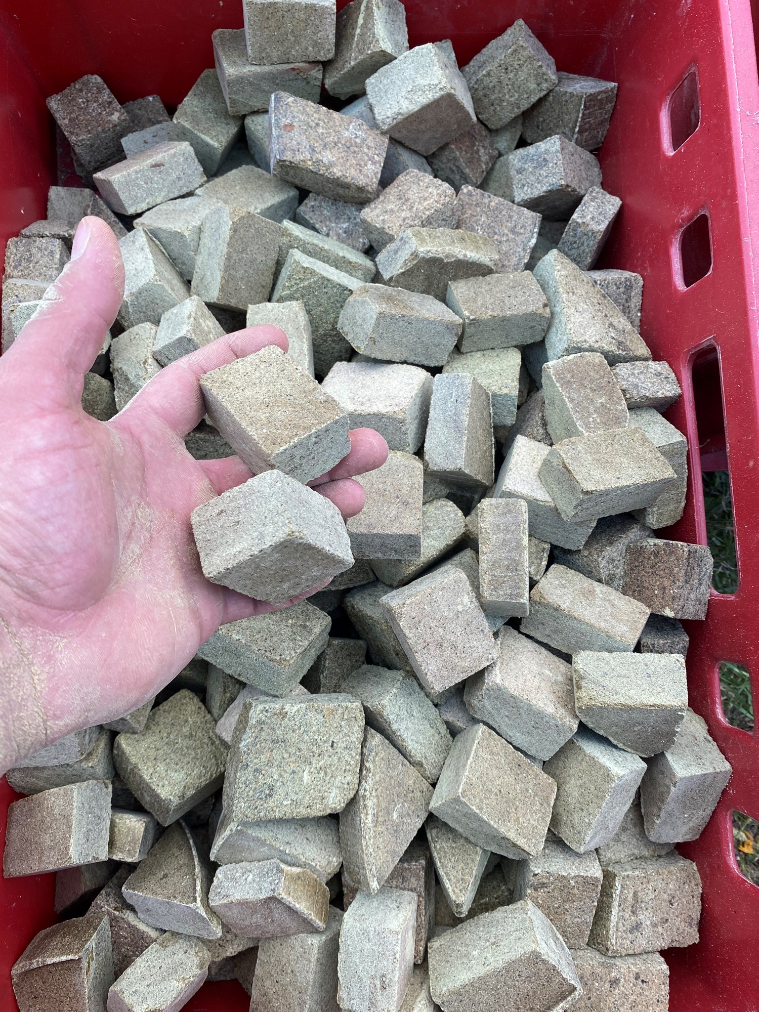  - 1A9D03FD5C9A4A02B5B4D8849728D2E8.jpg