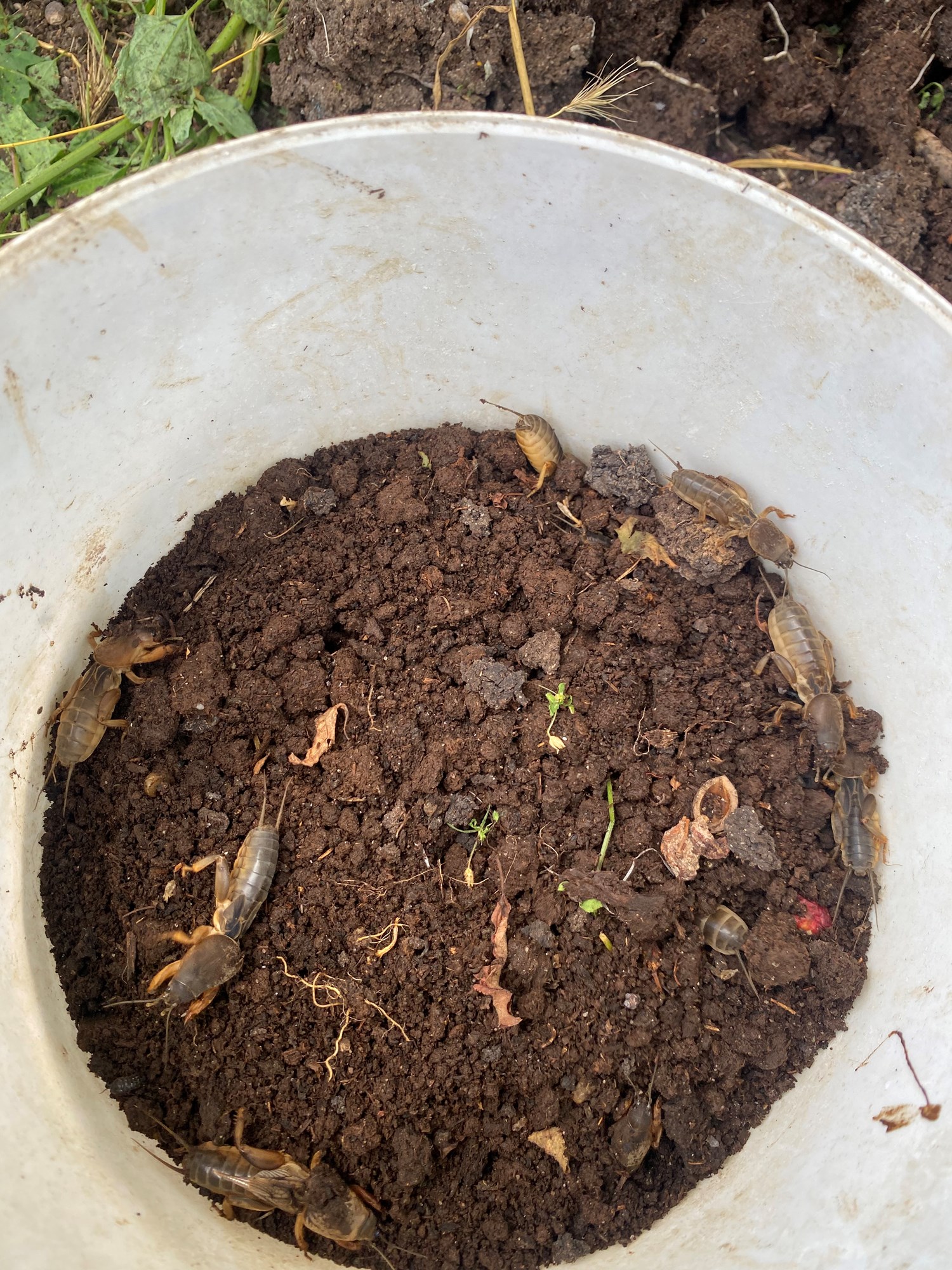  - 819095D819FC452B8AABBB191D2F7423.jpg