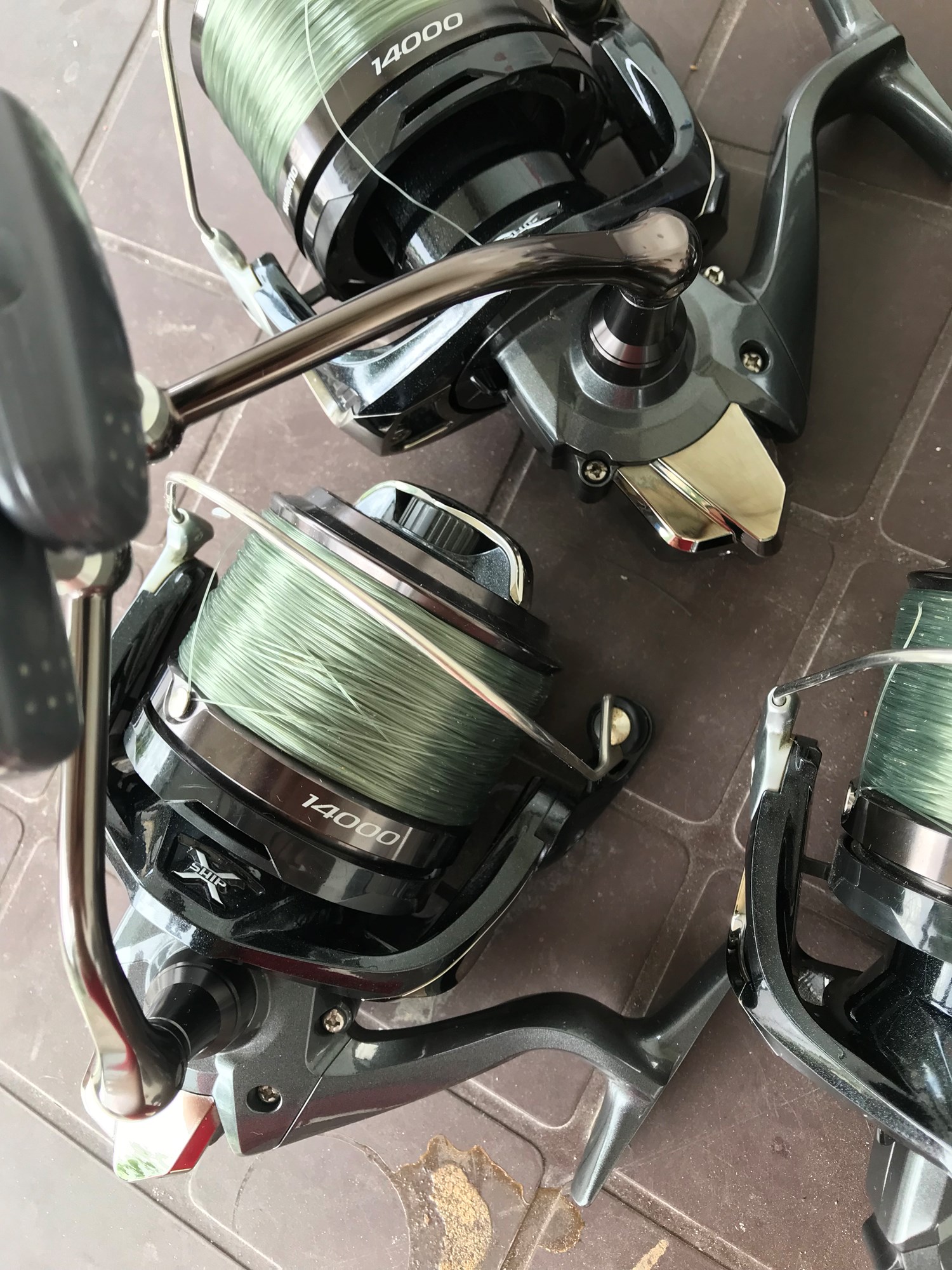  - 037674DD16314007B3B8AE22AFD2EDD2.jpg