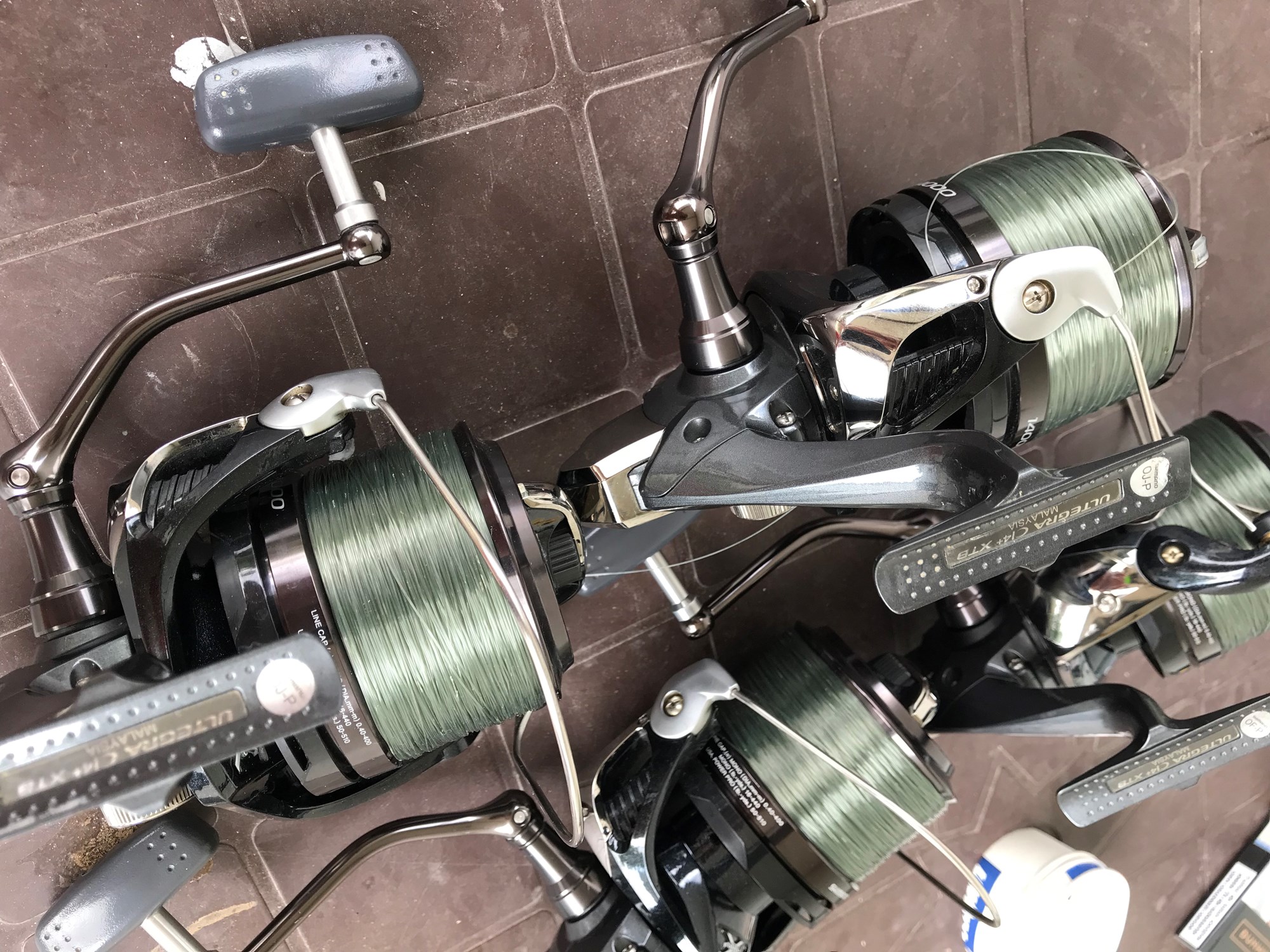  - 8AE0BAB3772A471B83E4E8A118FD47A5.jpg