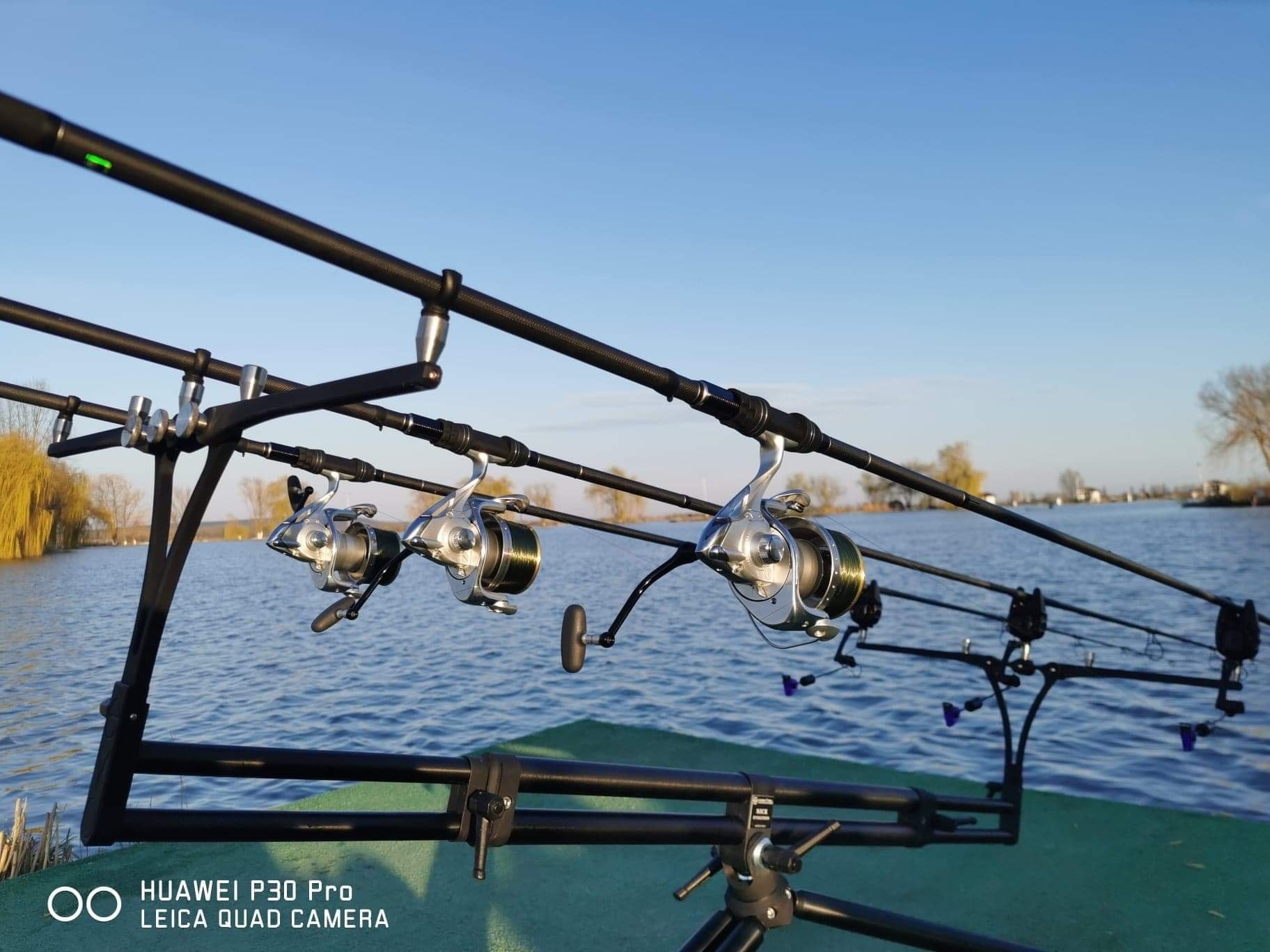  - F1C3A5C9B7194D7CA6BA54FAA3F29D3A.jpg