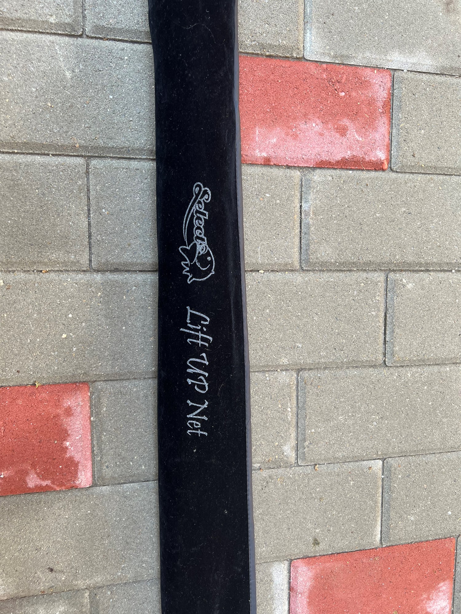  - 3C577FC7D7174E9BAC9065CEEC41965D.jpg