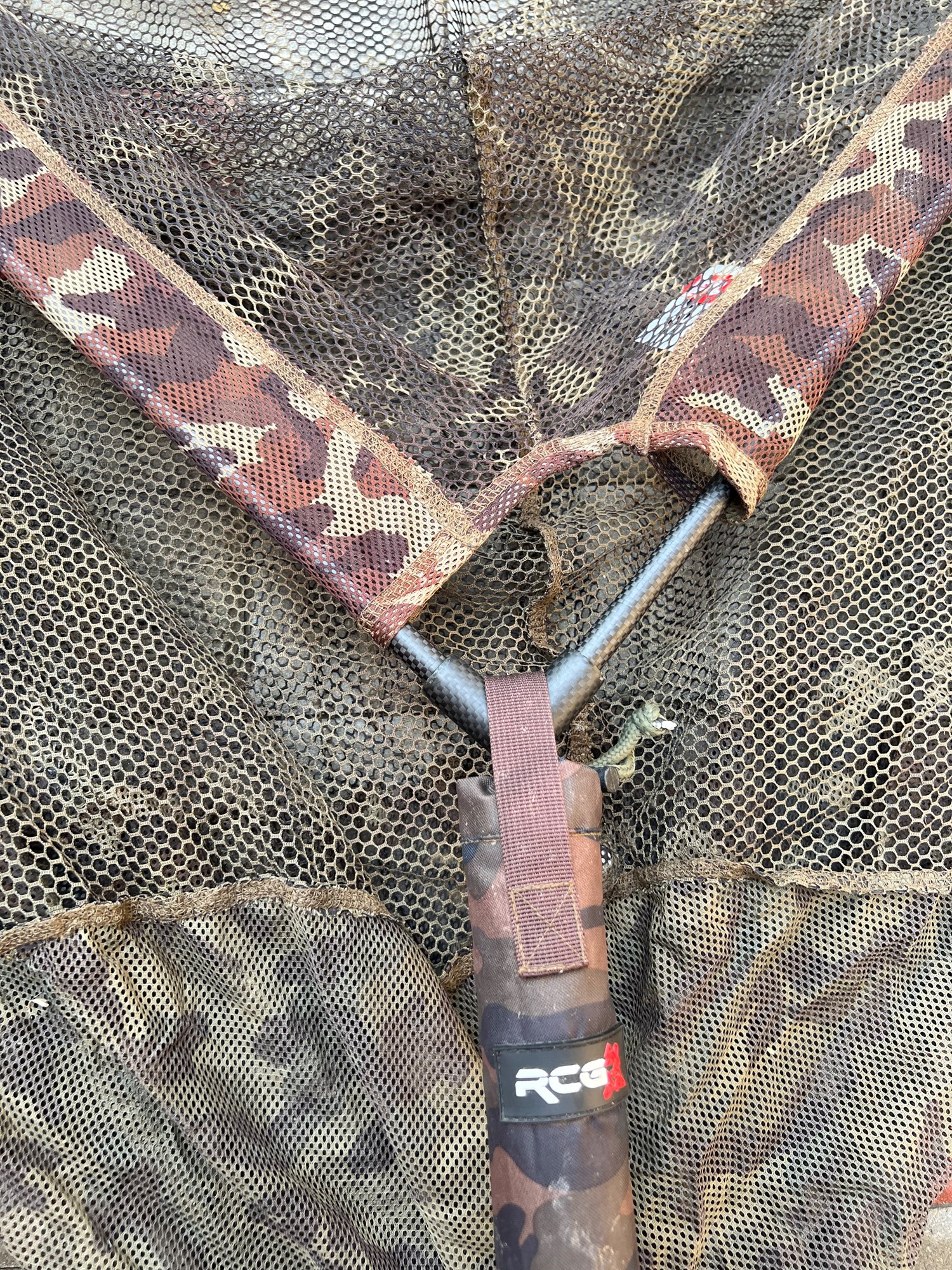  - A512E8A4BF054C1B9B80AA6E7040F0B6.jpg