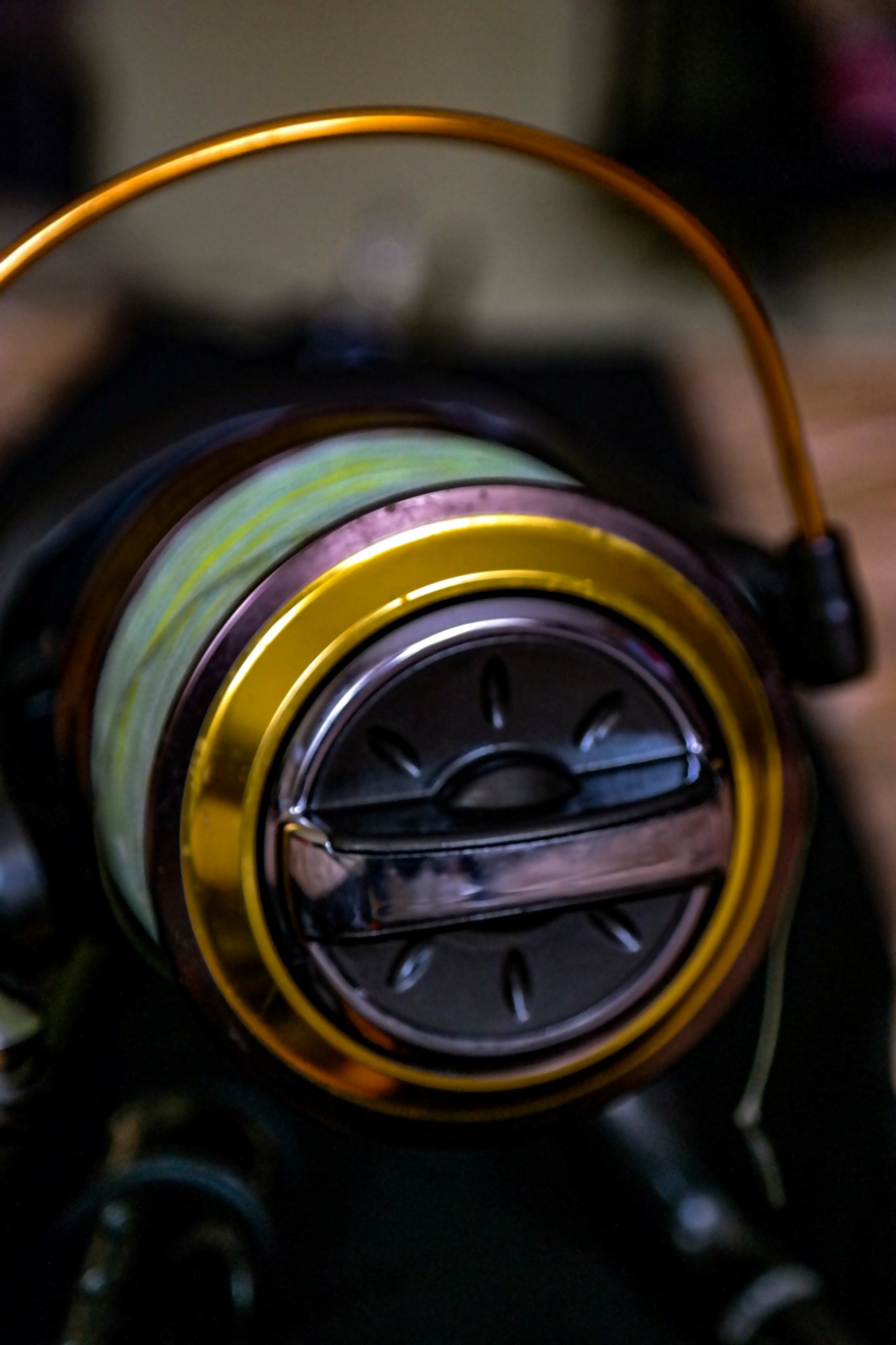  - 29855721253798679421272337279772092712456780n.jpg