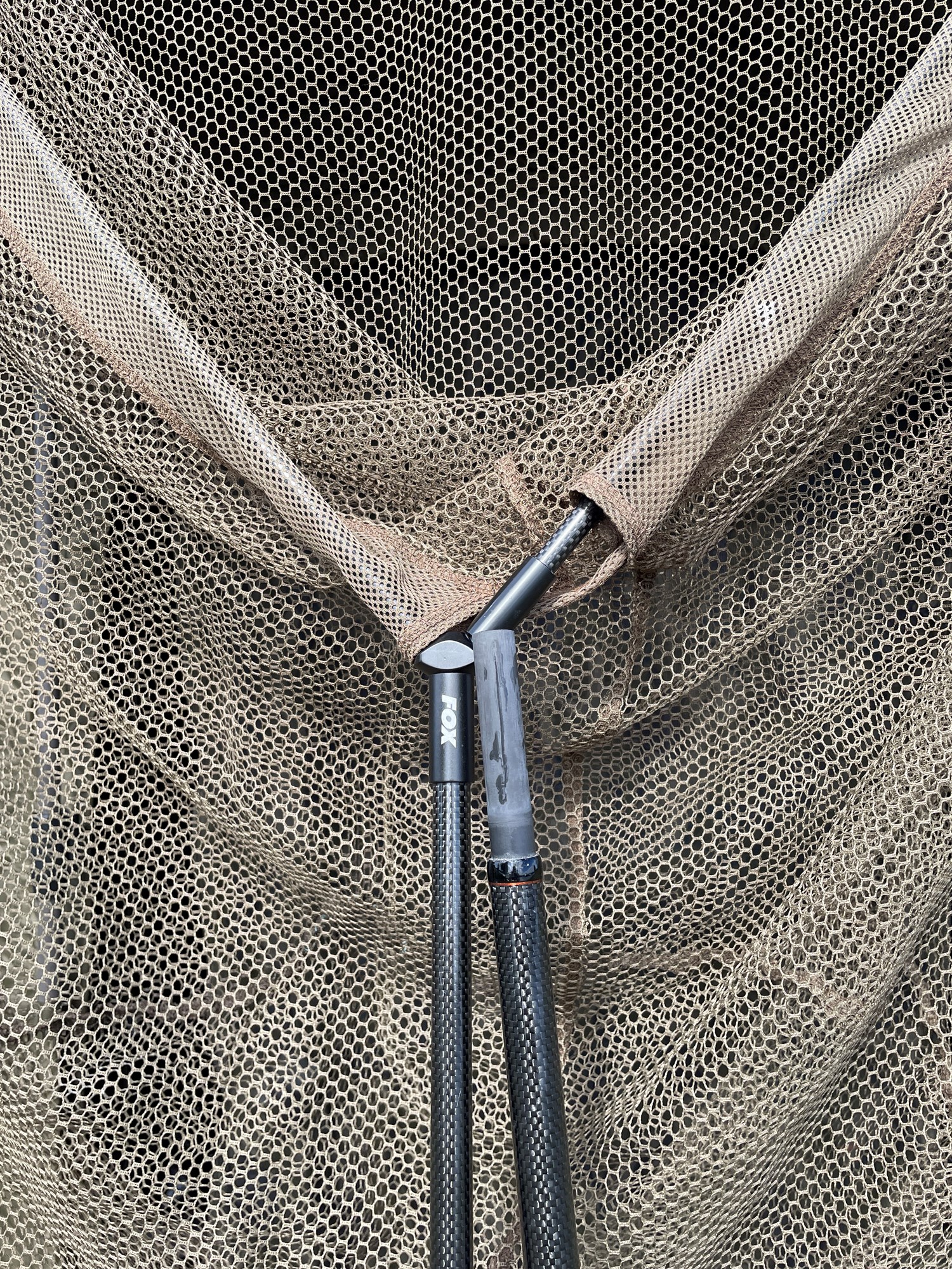  - 3D90D03466F24A64B50ED54947CFC1AB.jpg