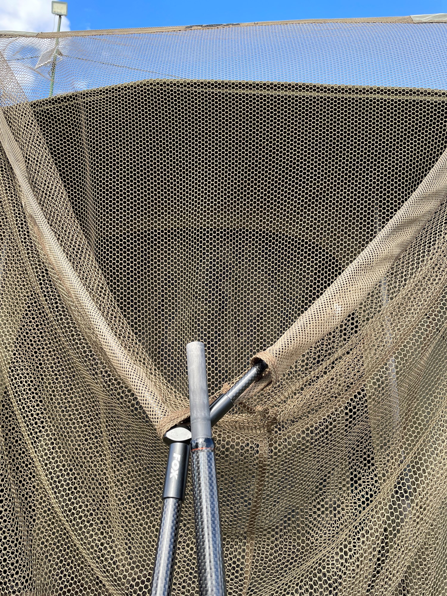  - 602FE80A710446E9B616086C2EB298DA.jpg