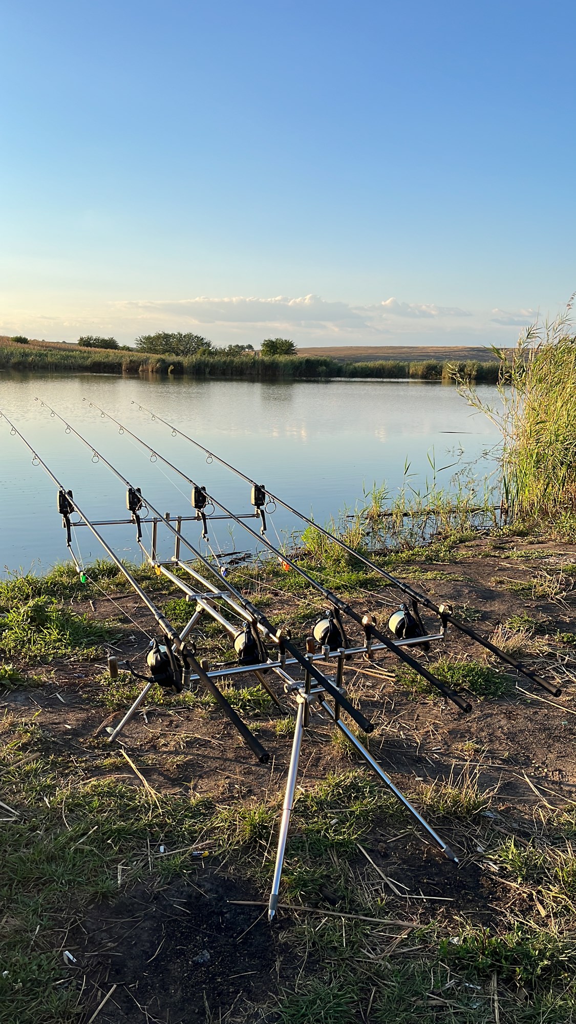  - 558CEB37A7754B28B8F9C56096039E2E.jpg