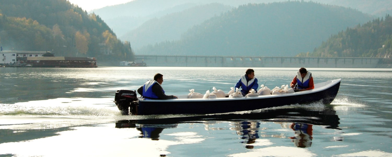  - ambarcatiunecumotor.jpg