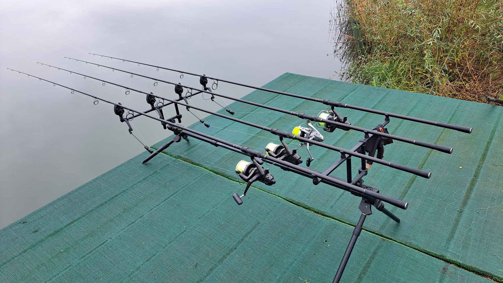  - 20231122141711.jpg