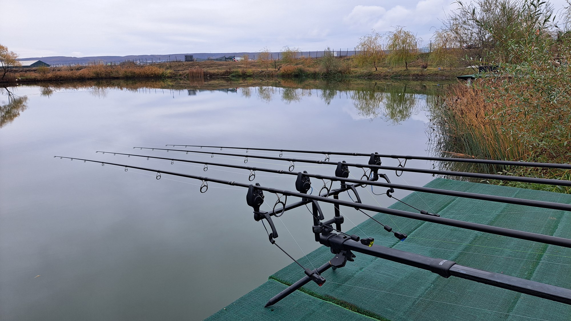  - 20231122141802.jpg