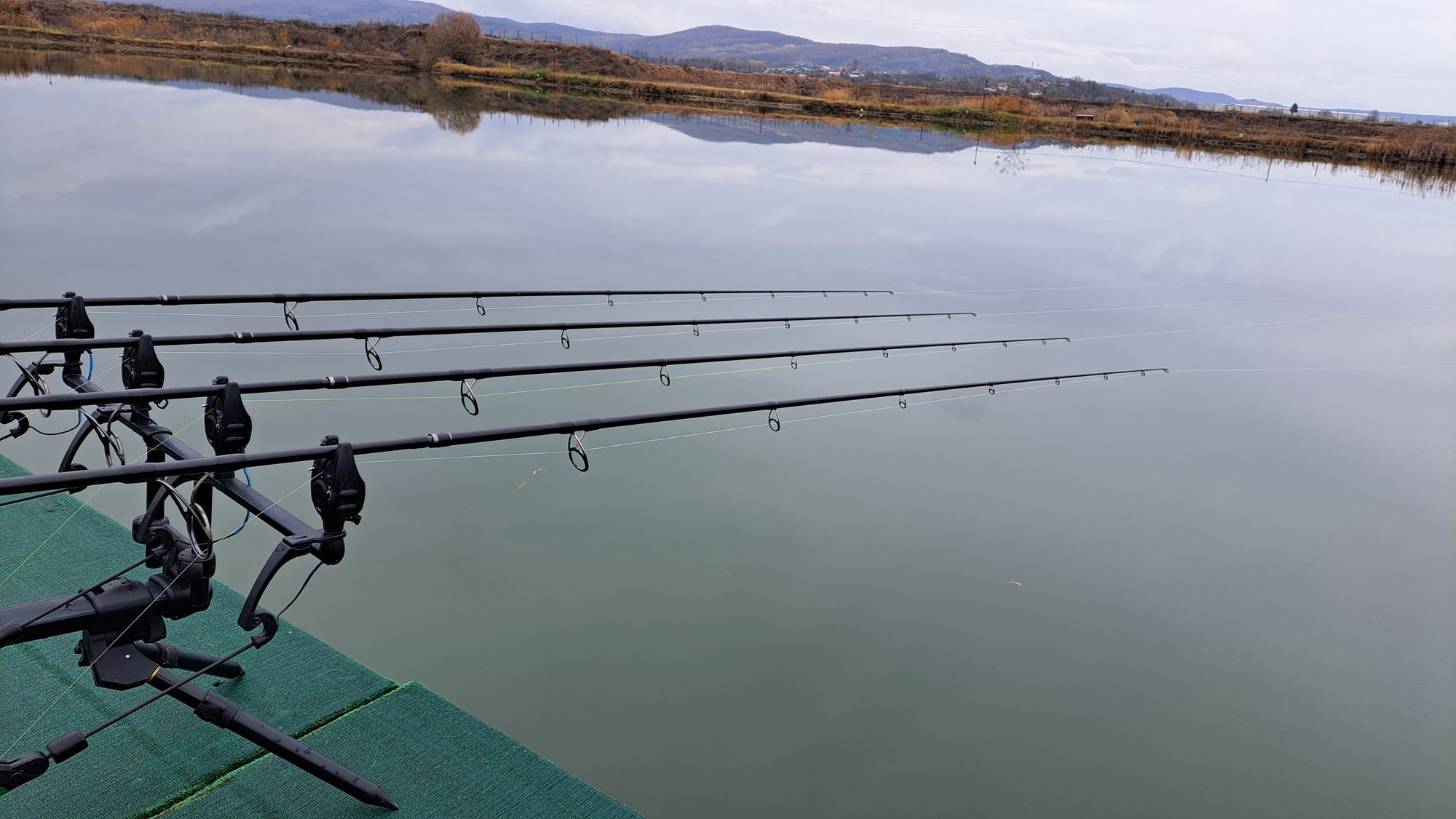  - 20231122141818.jpg