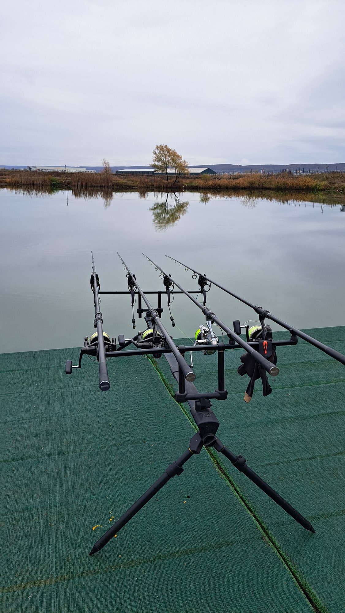  - 20231122141927.jpg