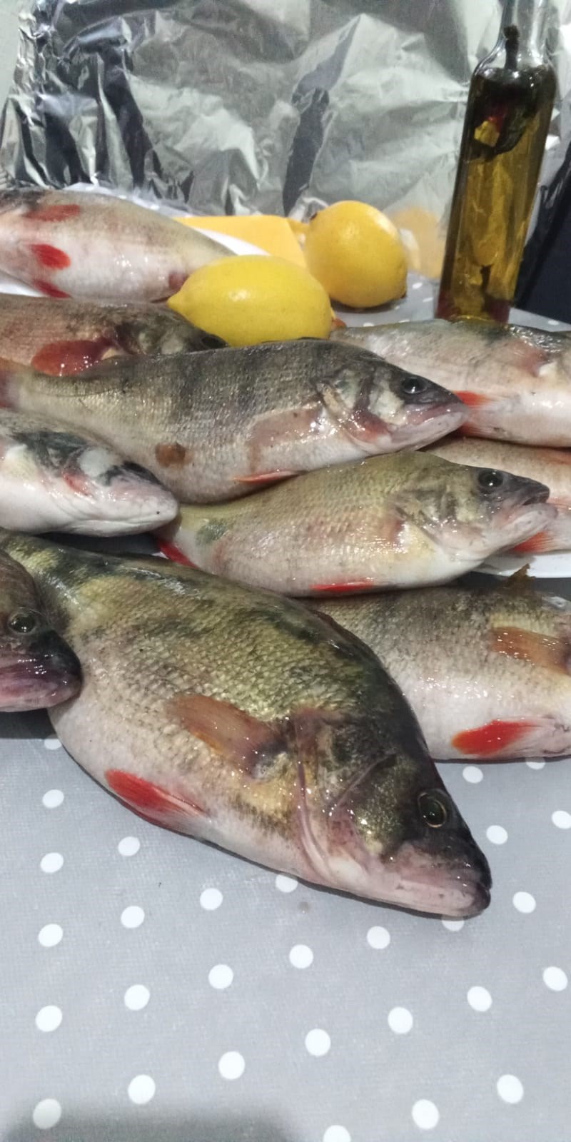  - FotoBibanDunare.jpg