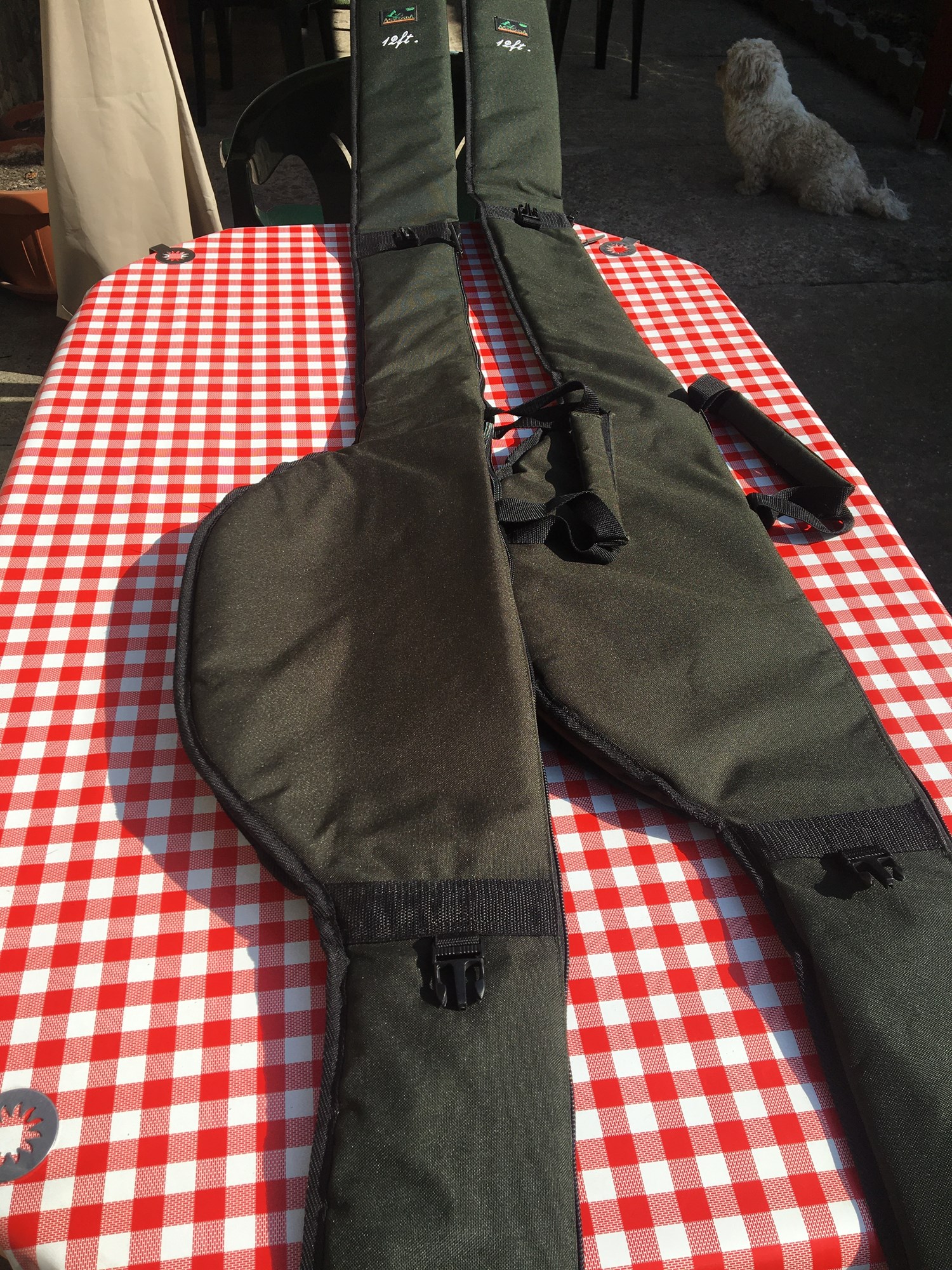  - EF1FFE165EA74AB28CF21E4F993D6B31.jpg