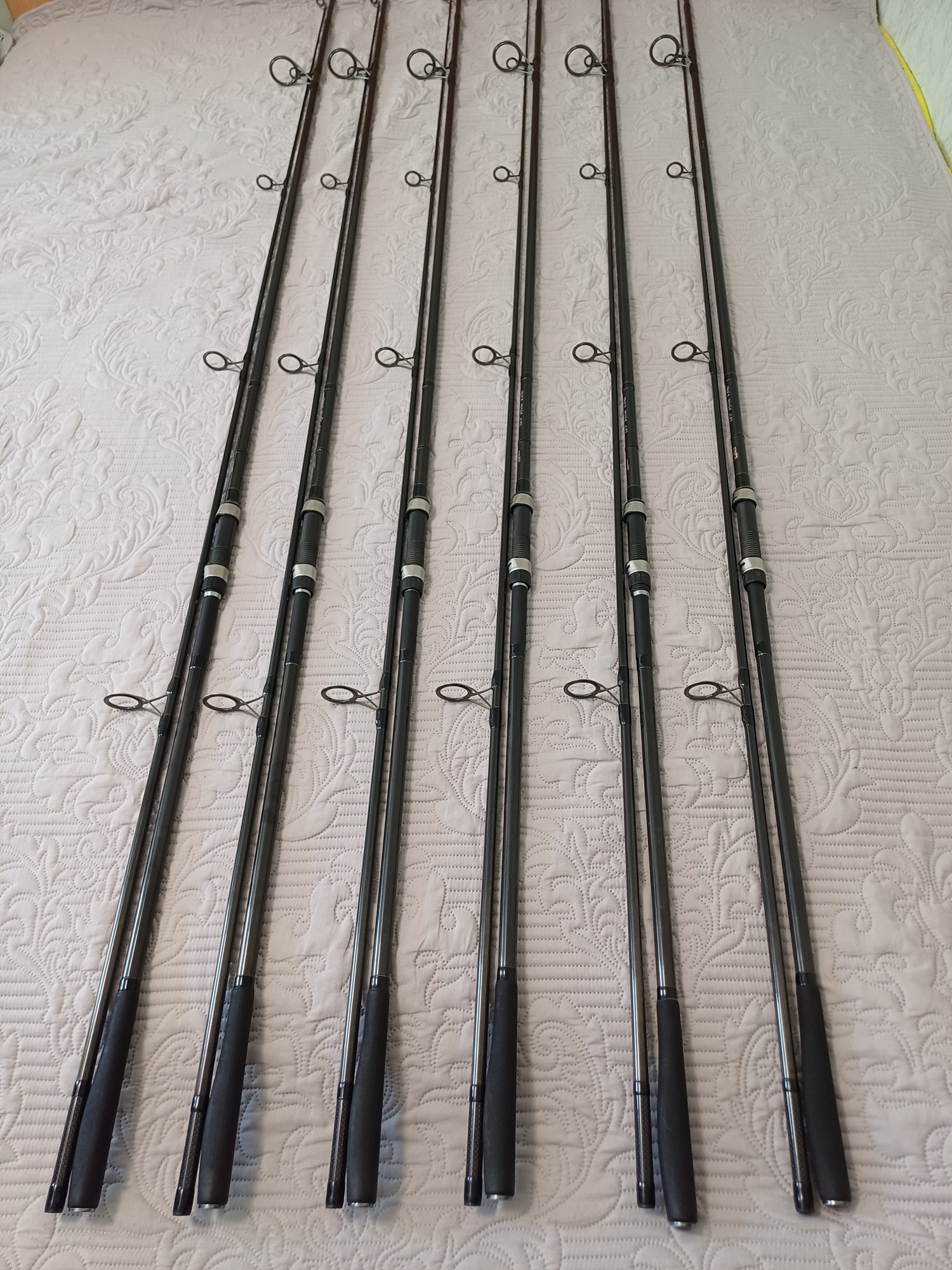  - 20240411124201.jpg