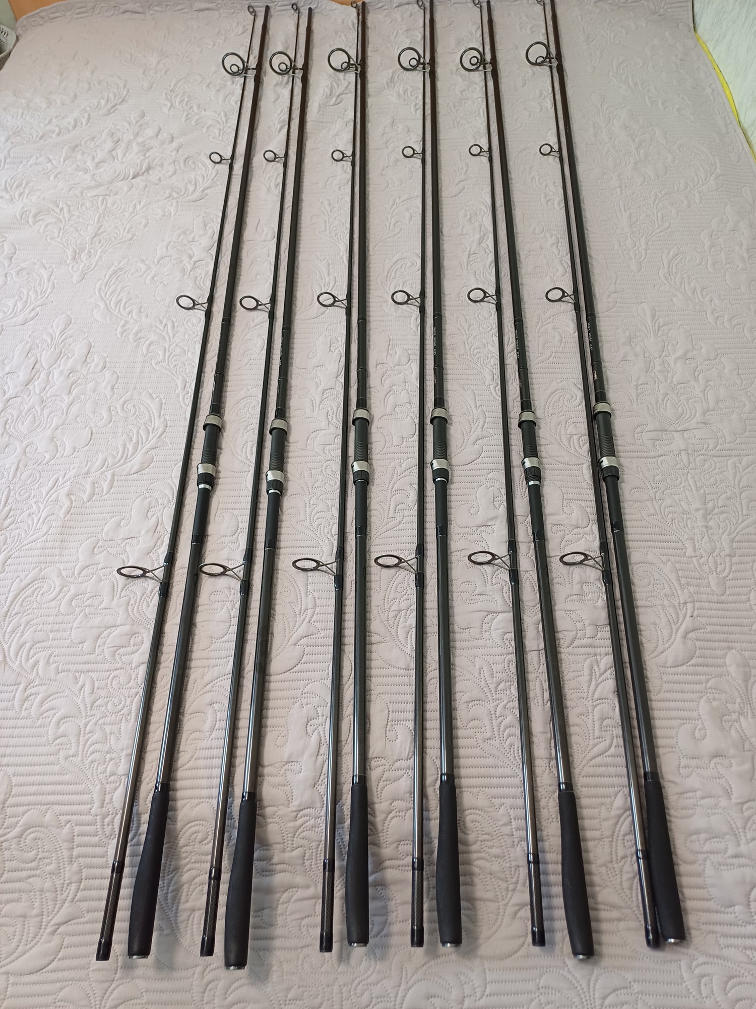  - 20240411124223.jpg