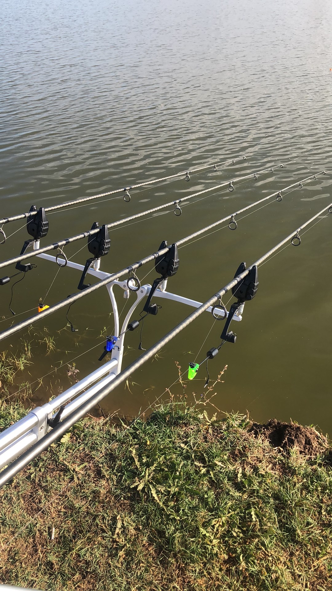  - 73EEFE20AB184B9C9709E3A12B6E571D.jpg