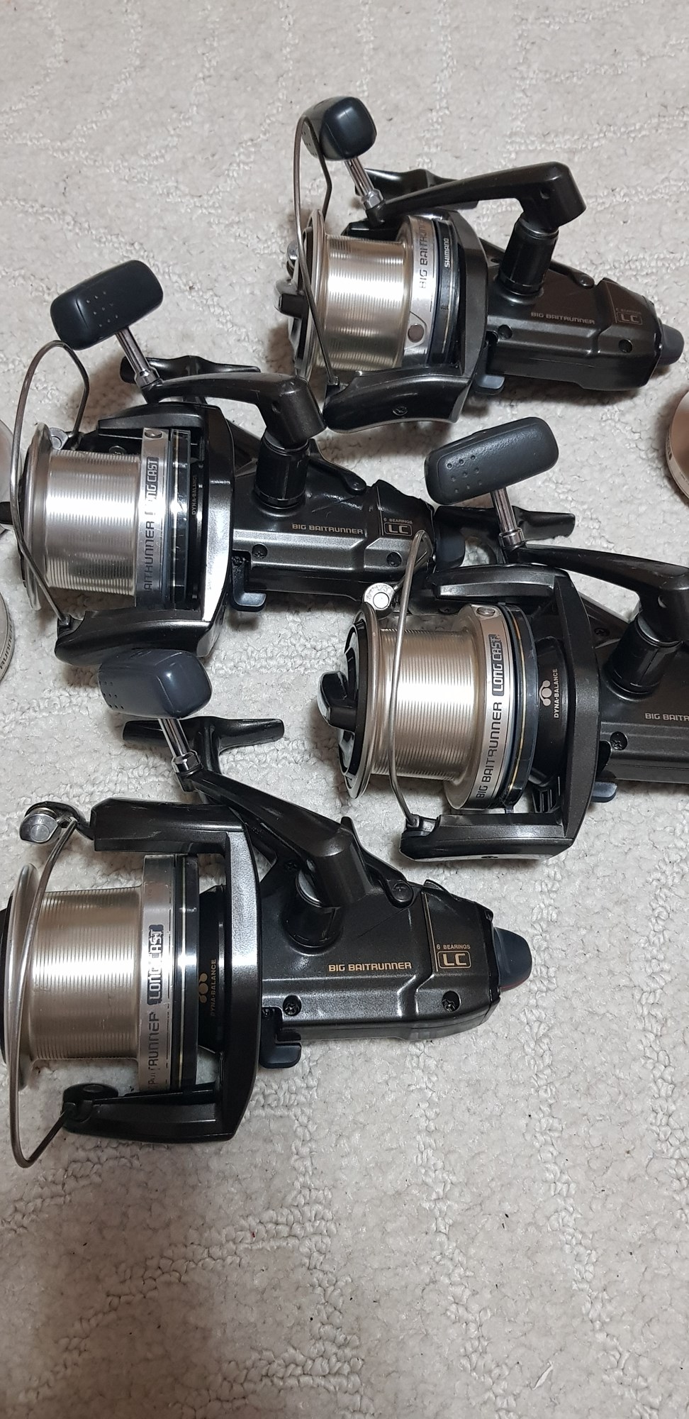  - 20240619232933.jpg