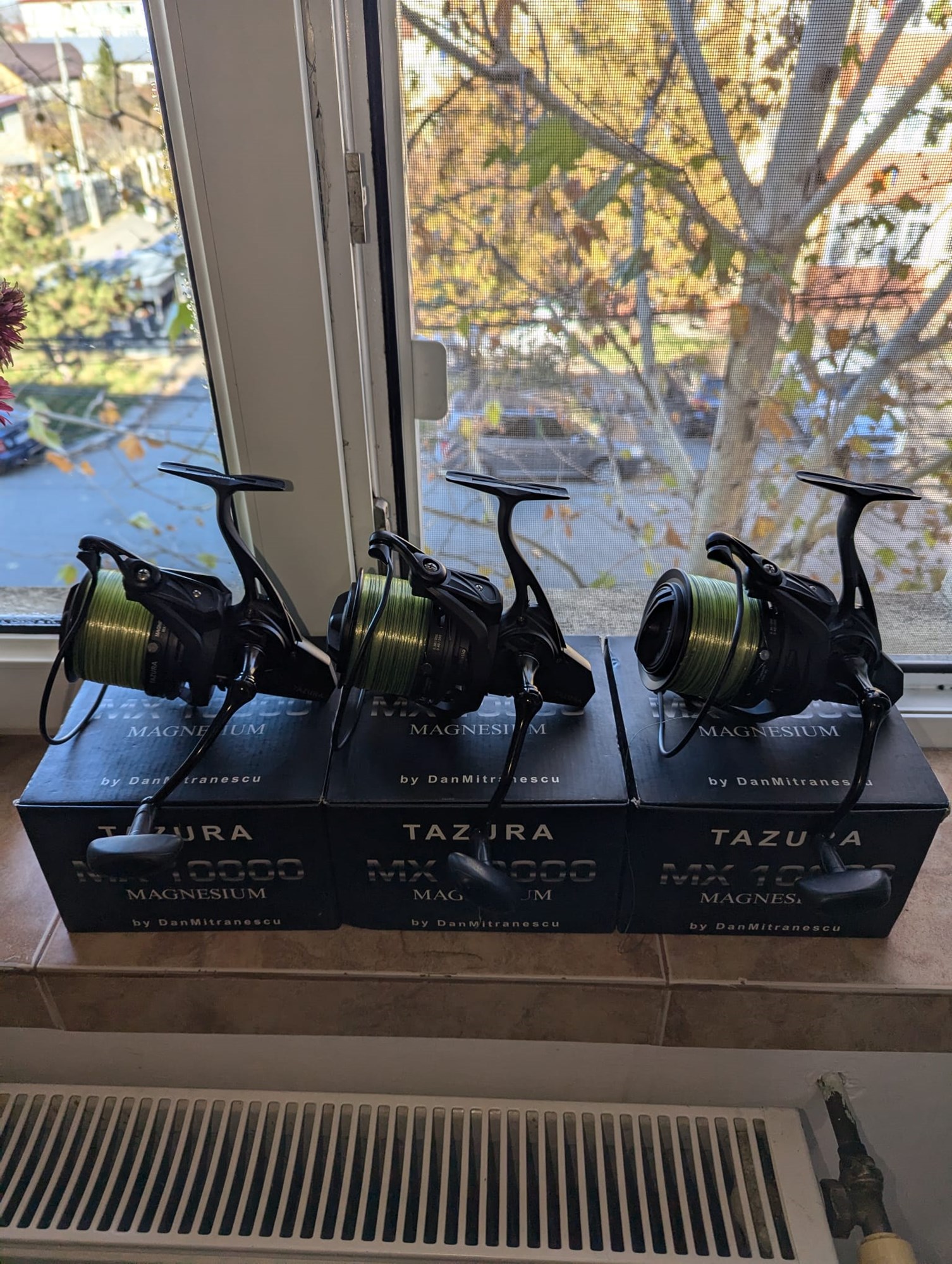  - WhatsAppImage20241124at12624PM.jpg