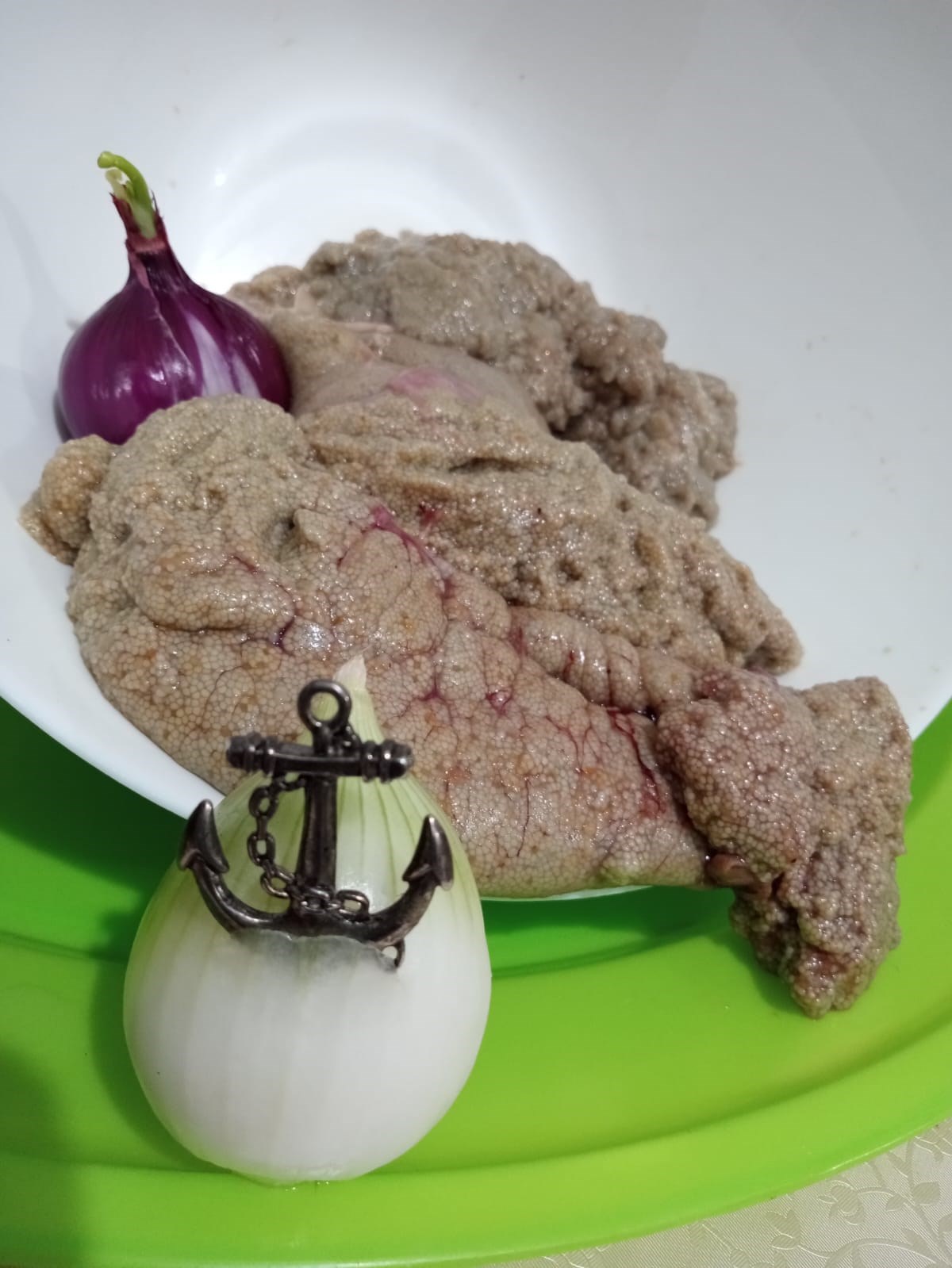  - Fotoicrecrapinmembrana.jpg