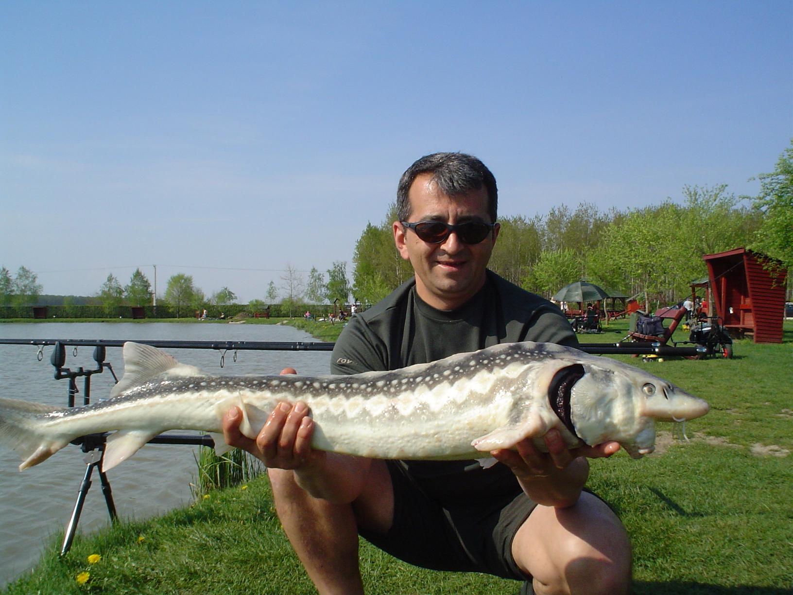 Verba Tanya - Ungaria - verba-tanya-21.JPG