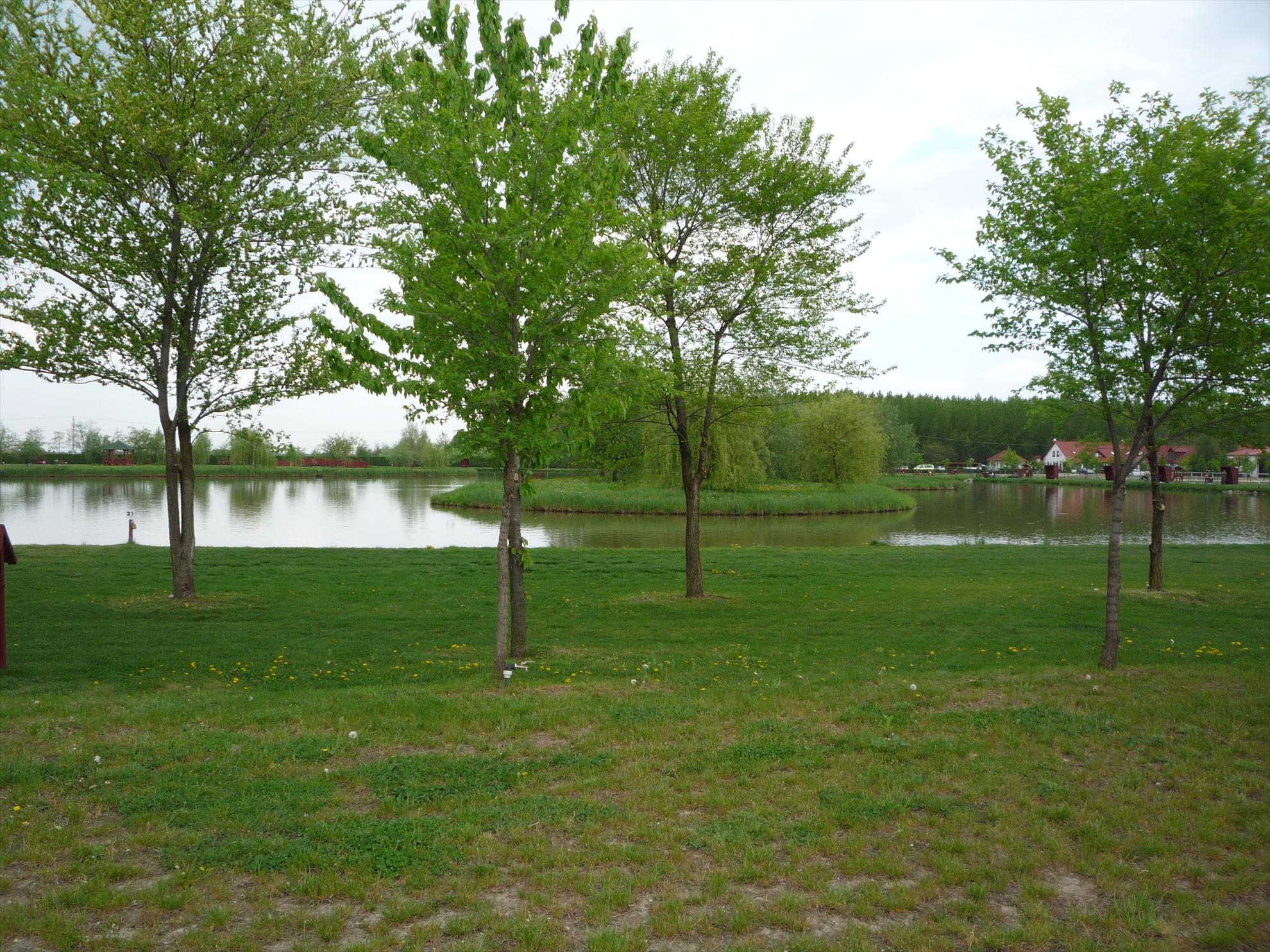 Verba Tanya - Ungaria - verba-tanya-5.JPG