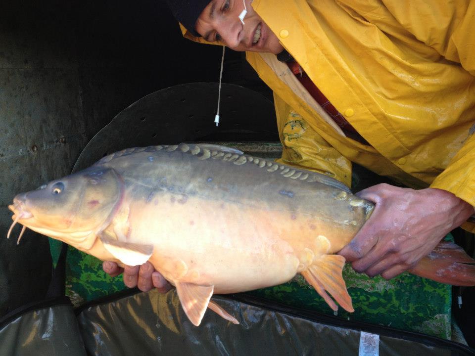 Capturi - 295647103333203195388634721792n.jpg