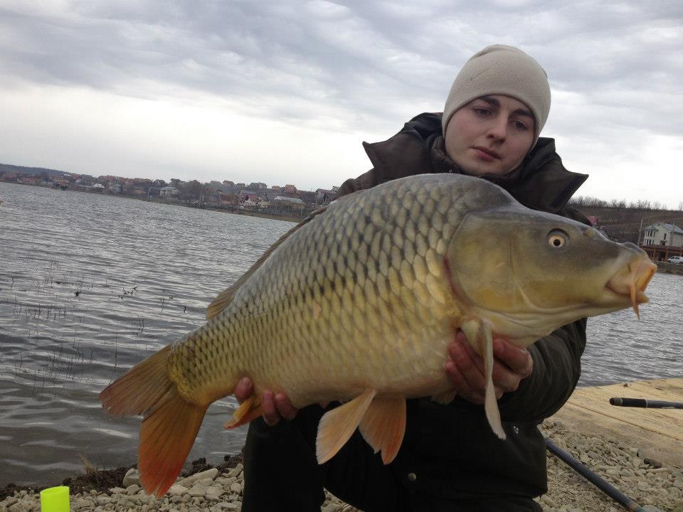 Capturi - 5623291033449998608751411100371n.jpg