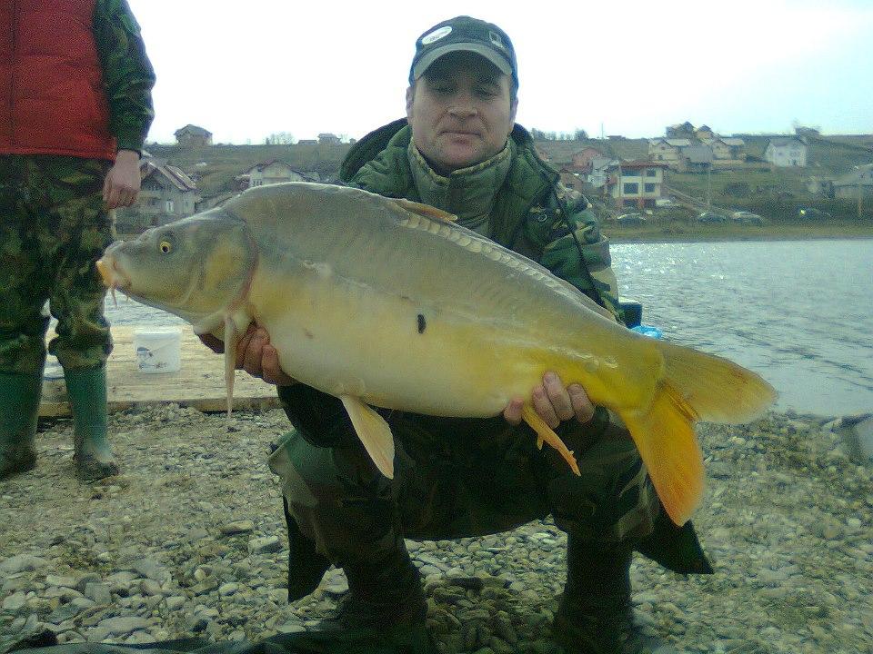 Capturi - 5642261209941547626261125945218n.jpg