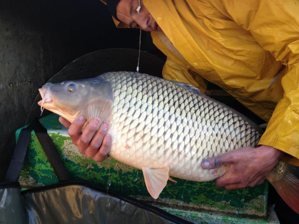 Capturi - 8309103333139862061492348158n.jpg