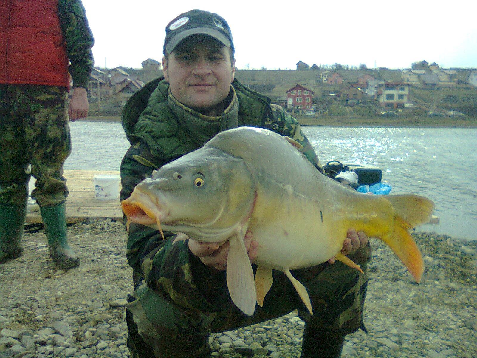 Capturi - 9019231209941514292931887566565o.jpg