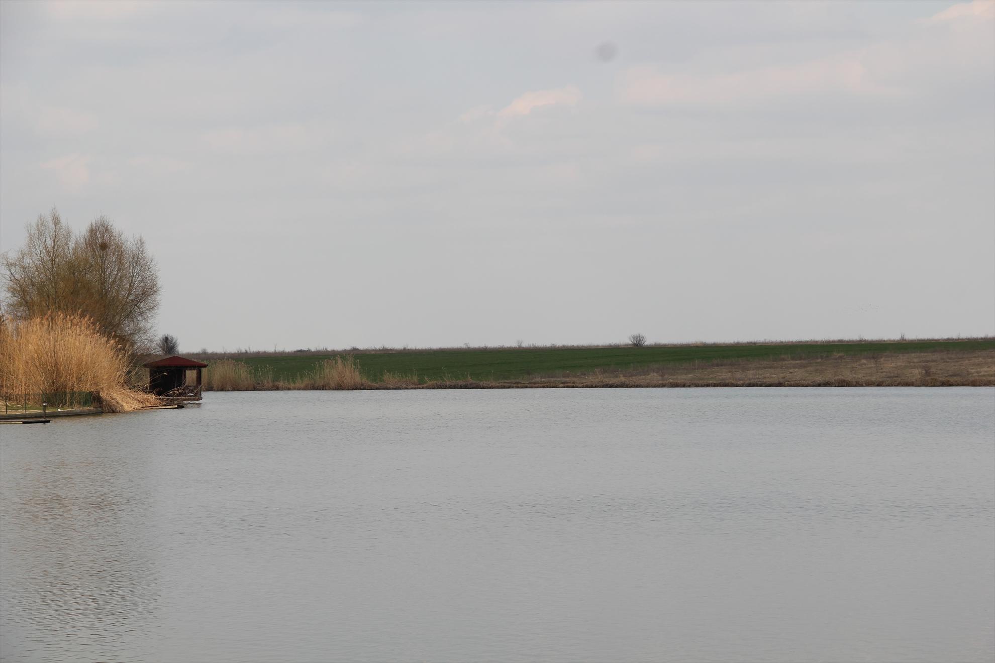 Populare Pescarium Corbeanca - populare-pescarium-corbeanca.JPG