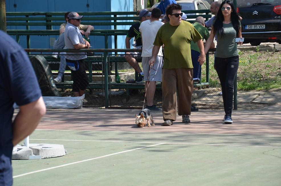 Fotografii CN APCR 2013 - 3.JPG