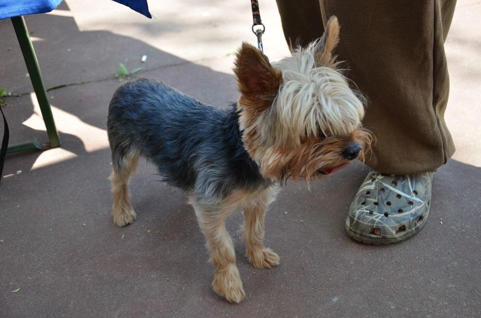 Fotografii CN APCR 2013 - 4.JPG