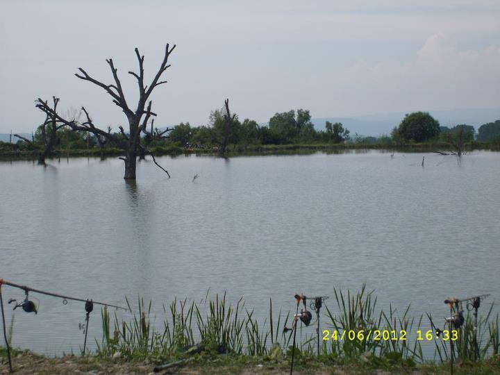 Valea Morii - 563498_379758122077846_1499322485_n.jpg