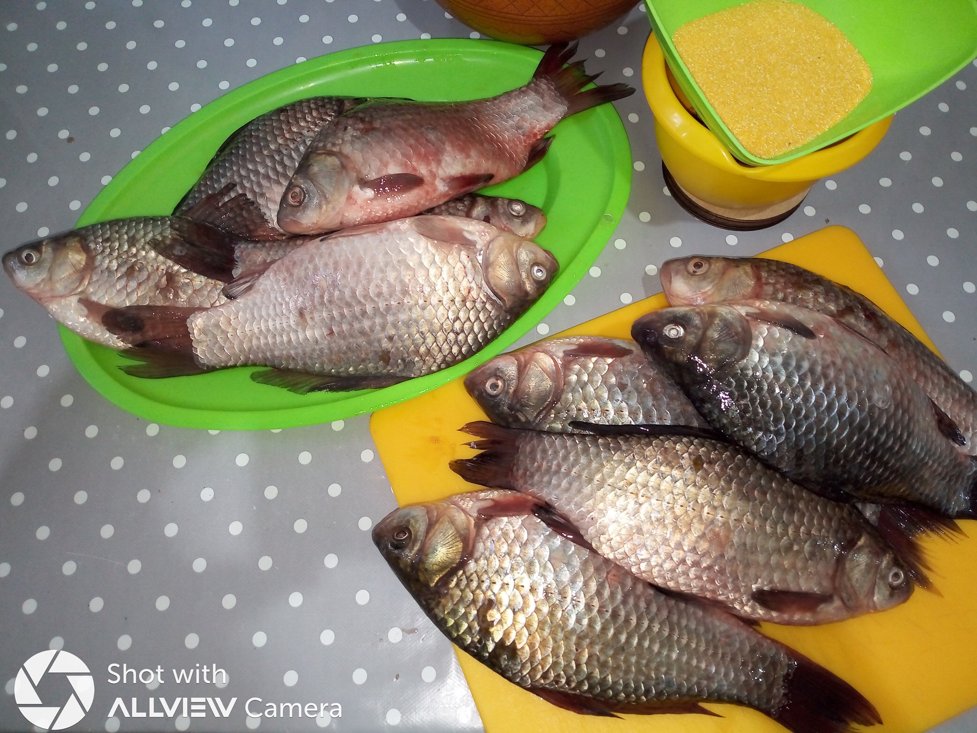  - FotoCarasDunare.jpg