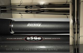 Lansete Berkley Carp 12'
